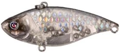River2Sea Ruckus 3/4 Oz. Lipless Crankbait 19 River2Sea Ruckus 3/4 Oz. Lipless Crankbait -Fishing Promotion Store ts 2Bminnow