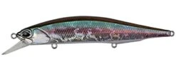 Duo Realis Jerkbait 110SP Suspending 36 Duo Realis Jerkbait 110SP Suspending -Fishing Promotion Store wakasagi 4b0bb665 b1de 4681 954b d5e85fc4cc64