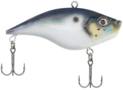 Berkley Warpig Lipless Crankbait 27 Berkley Warpig Lipless Crankbait -Fishing Promotion Store warpig blue back