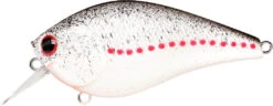 Lucky Craft LC 2.5 Shallow Squarebill Crankbait 41 Lucky Craft LC 2.5 Shallow Squarebill Crankbait -Fishing Promotion Store white 2Bshad